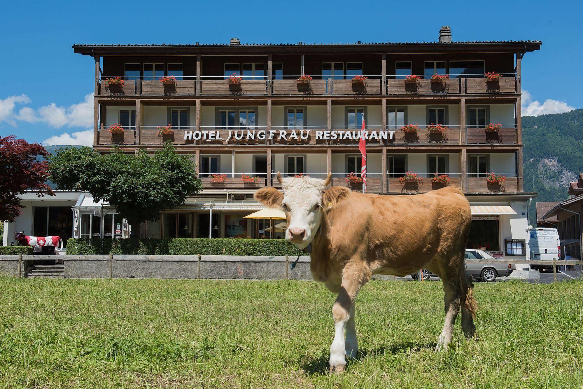 Jungfrau Hotel Wilderswil Exterior foto
