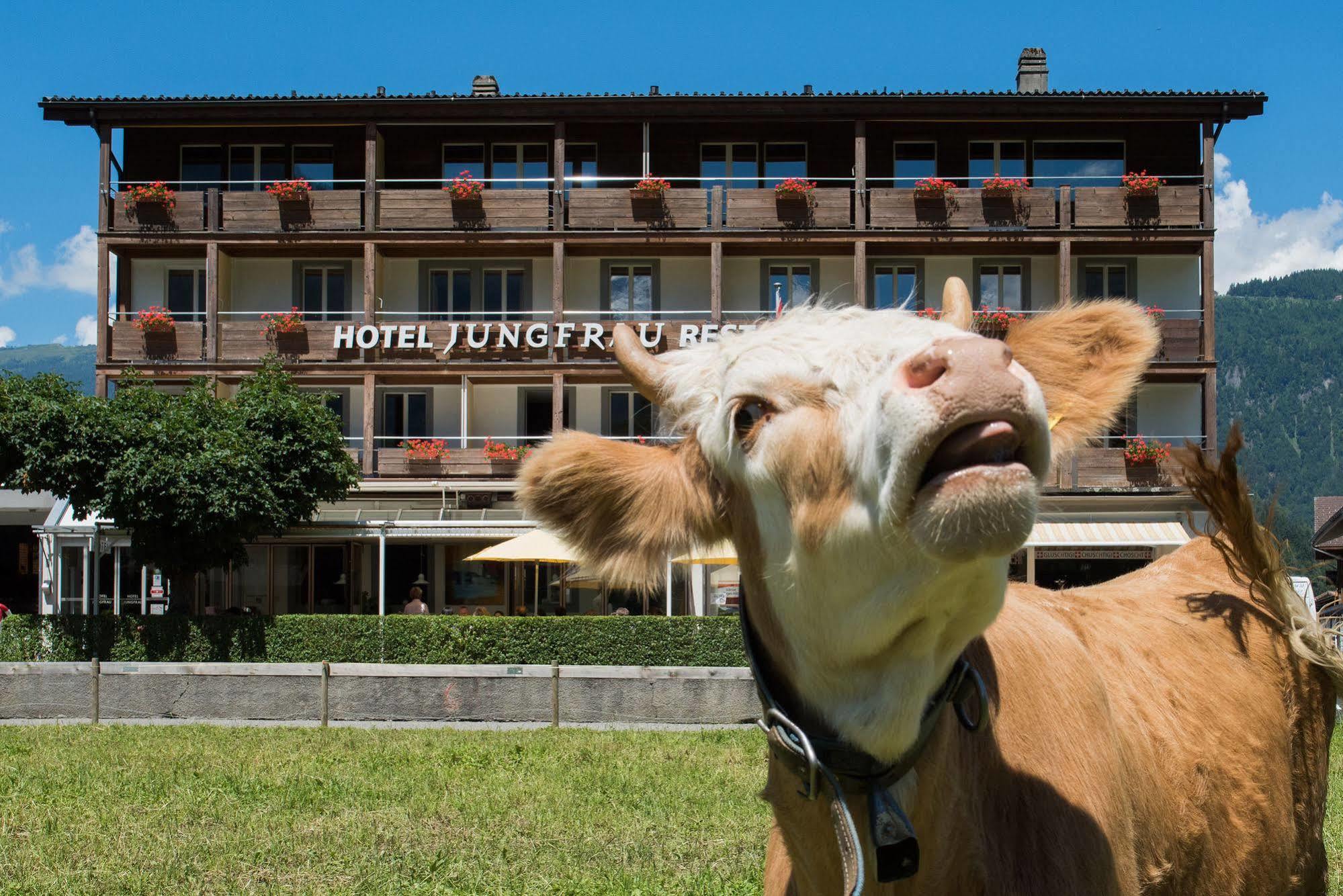 Jungfrau Hotel Wilderswil Exterior foto